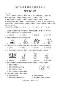 2025年江苏省南京市联合体中考一模化学试题（中考模拟）