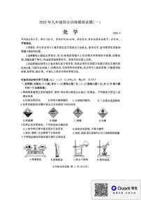 2025年山东省临沂市平邑县中考一模化学试题（中考模拟）