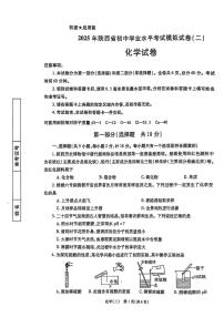 2025年陕西省咸阳市乾县吴店九年制学校中考二模化学试题（中考模拟）