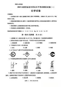 2025年陕西省咸阳市乾县吴店九年制学校中考一模化学试题（中考模拟）