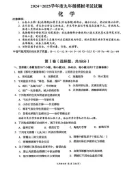 2025年四川省成都市武侯区中考二模考试化学试题（中考模拟）