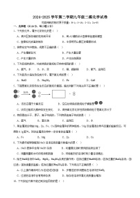 2025年甘肃省武威市凉州区武威十七中、十二中中考二模化学试题（中考模拟）