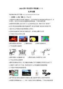 2025年黑龙江省哈尔滨市松雷中学中考一模化学试题（中考模拟）