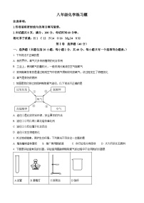 2025年山东省泰安市岱岳区中考一模化学试题（原卷版+解析版）（中考模拟）