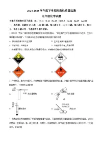 2025年山东省临沂市郯城县中考一模化学试题（原卷版+解析版）（中考模拟）