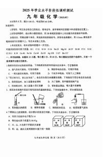 2025年山东省济南市槐荫区中考二模化学试题及其答案