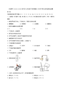 天津市2024-2025学年九年级下学期第二次月考化学检测试题（附答案）