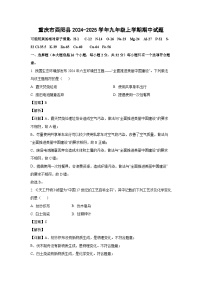 重庆市酉阳县2024-2025学年九年级上学期期中化学试卷（解析版）