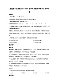 湖南省十三市州2024-2025学年九年级下学期4月期中化学试卷（解析版）