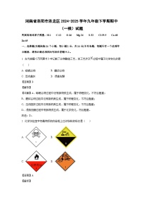 河南省洛阳市洛龙区2024-2025学年九年级下学期期中（一模）化学试卷（解析版）