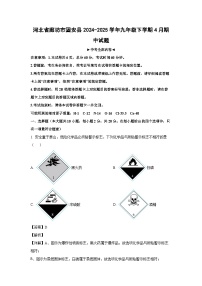 河北省廊坊市固安县2024-2025学年九年级下学期4月期中化学试卷（解析版）