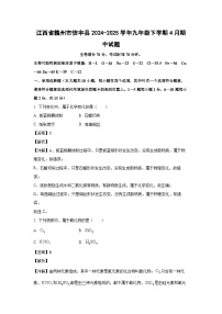 江西省赣州市信丰县2024-2025学年九年级下学期4月期中化学试卷（解析版）