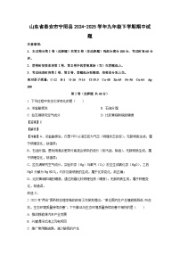 山东省泰安市宁阳县2024-2025学年九年级下学期期中化学试卷（解析版）