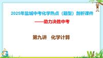 2025年盐城中考化学热点（题型）剖析课件-第九讲+化学计算