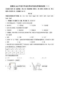 2025年天津市西青区中考一模化学试题（原卷版+解析版）（中考模拟）