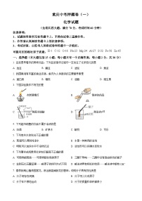 2025年重庆市垫江中学校模中考拟化学试题（中考模拟）