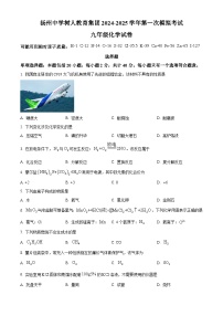 2025年江苏省扬州市树人集团中考一模化学试题含答案