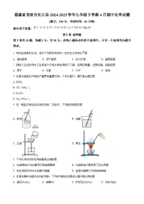 福建省龙岩市长汀县2024-2025学年九年级下学期4月期中化学试题（原卷版+解析版）