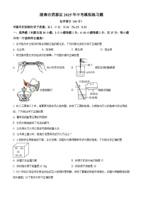 甘肃省陇南市武都区2024-2025学年九年级下学期4月期中化学试题（原卷版+解析版）