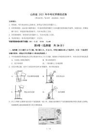 山西省2025年中考模拟化学试卷