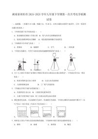 湖南省祁阳市2024-2025学年九年级下学期第一次月考化学检测试卷1（含答案）