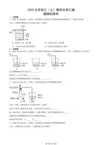 2025北京初三（上）期末真题化学汇编：燃烧的条件