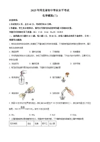 河北省廊坊市第十中学2024-2025学年九年级下学期3月月考化学试题（原卷版+解析版）