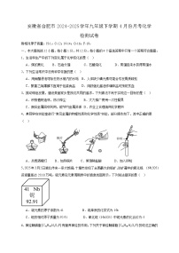 安徽省合肥市2024-2025学年九年级下学期4月份月考化学检测试卷（含答案）