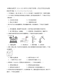 安徽省合肥市2024-2025学年九年级下学期4月份月考化学试卷（含答案）