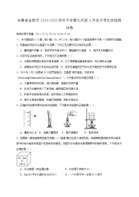 安徽省合肥市2024-2025学年下学期九年级4月份月考化学检测试卷（含答案）