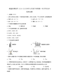 福建省莆田市2024-2025学年九年级下学期第一次月考化学检测试题（含答案）