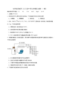 甘肃省武威市2025届中考化学模拟试题（一模）含答案