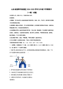 山东省淄博市临淄区2024-2025学年九年级下学期期中（一模）化学试卷（解析版）