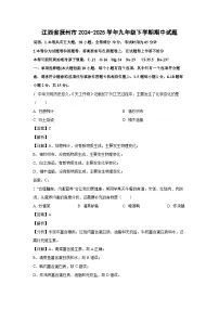 江西省抚州市2024-2025学年九年级下学期期中化学试卷（解析版）
