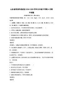 山东省菏泽市成武县2024-2025学年九年级下学期4月期中化学试卷（解析版）