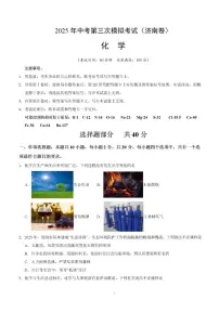 2025年济南市中考初三化学三模试题及其答案