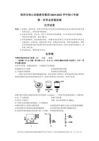 南山实验教育集团2024-2025学年度九年级一模化学试卷+答案