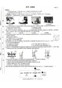 2025年安徽省合肥市新站区中考二模化学试卷（中考模拟）