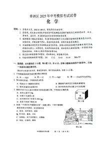 2025年广东省珠海市香洲区中考一模化学试题（中考模拟）