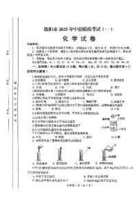 2025年河南省洛阳市中招模拟考试化学试卷（一）（中考模拟）