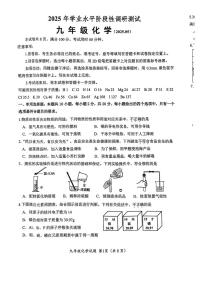 2025年山东省济南市槐荫区中考二模化学试题（中考模拟）