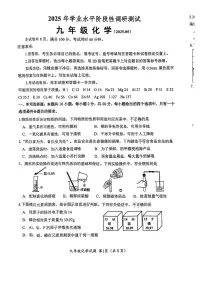 2025年山东省济南市槐荫区中考二模化学试题（中考模拟）