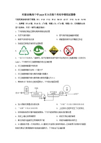 2025年湖北省黄石市阳新县陶港中学中考模拟考试化学试题 （中考模拟）