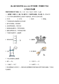 2025年江苏省连云港市外国语学校中考一模化学试题（中考模拟）