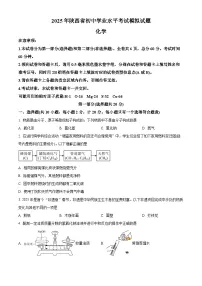 2025年陕西省商洛市洛南县中考二模化学试题（中考模拟）