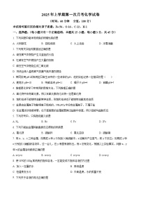 湖南省岳阳县十校2024-2025学年九年级下学期第一次月考化学试题（原卷版+解析版）