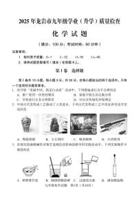2025年福建省龙岩市中考二检化学试题（含答案）