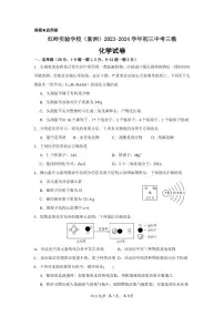 深圳市红岭实验学校（新洲）2023-2024学年初三中考三模化学试卷