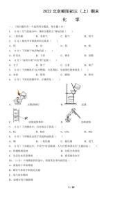 2022北京朝阳初三（上）期末化学试卷（含答案）