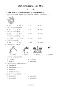 2024北京东城初三（上）期末化学试卷（含答案）
